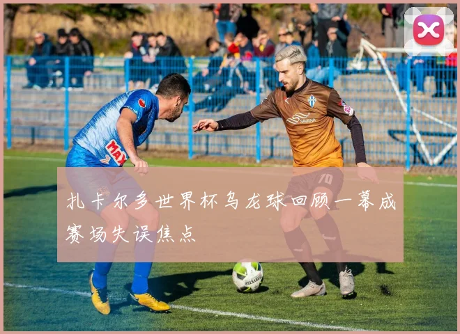 扎卡尔多世界杯乌龙球回顾一幕成赛场失误焦点