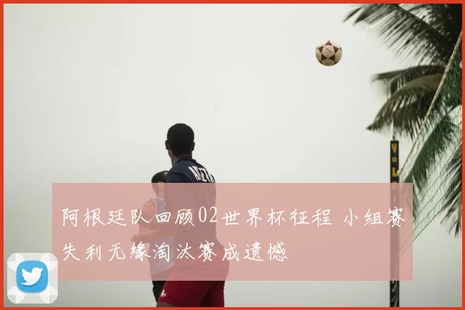 阿根廷队回顾02世界杯征程 小组赛失利无缘淘汰赛成遗憾