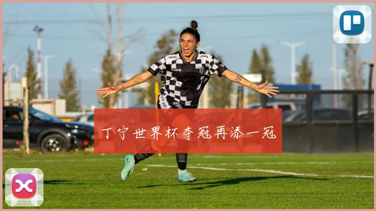 丁宁世界杯夺冠再添一冠