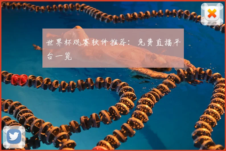 世界杯观赛软件推荐：免费直播平台一览