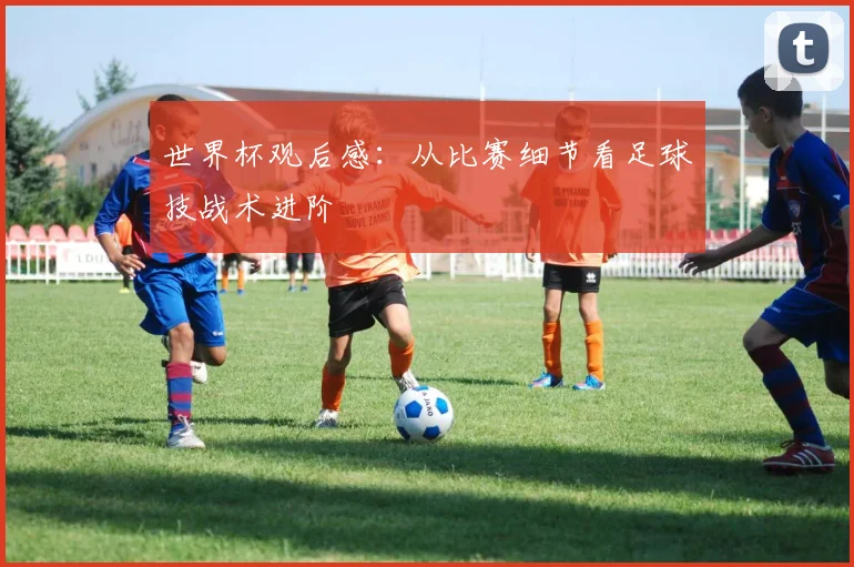世界杯观后感:从比赛细节看足球技战术进阶
