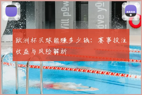欧洲杯买球能赚多少钱：赛事投注收益与风险解析