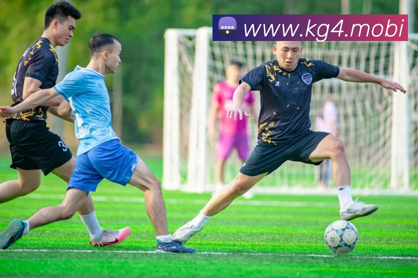 巅峰国际官网 - 追求健康,你我一起成长发展历程